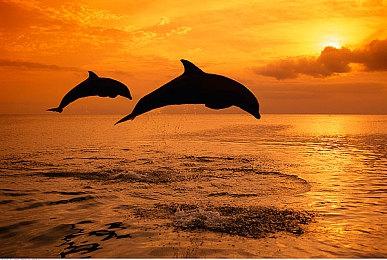 《战神4》Mod搞笑视频 姆巴佩和梅西一决高下